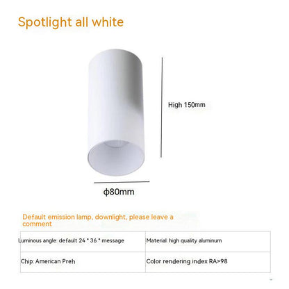 Anti-Glare Surface Mount LED Spotlight