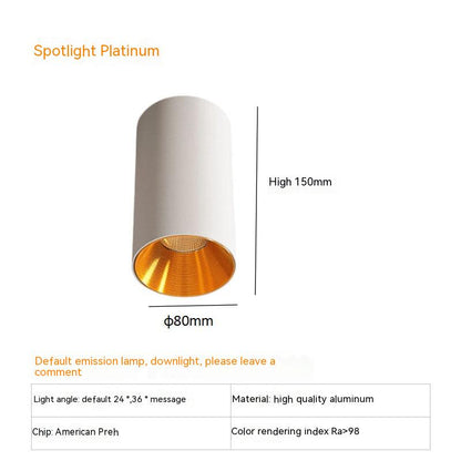 Anti-Glare Surface Mount LED Spotlight
