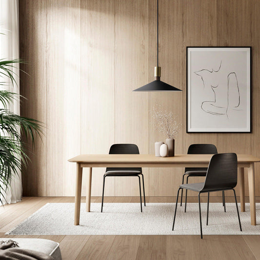 Minimalist Round Iron Pendant Ceiling Light